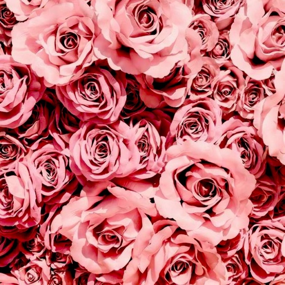 Meet your Posher, JT